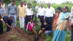 NSS Tree Plantation